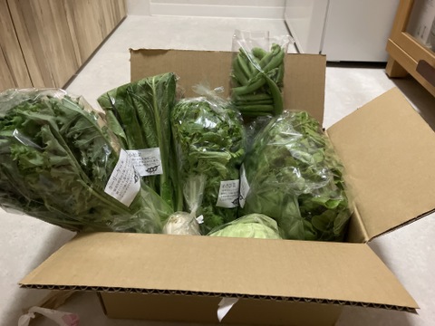 【食べチョクアワード2025受賞】野菜セットＳサイズ（７品）【農薬・化学肥料・動物性堆肥｜不使用】