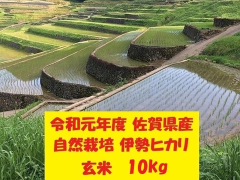 【令和元年新米】無農薬!自然栽培!佐賀県産!「伊勢ヒカリ」玄米10kg