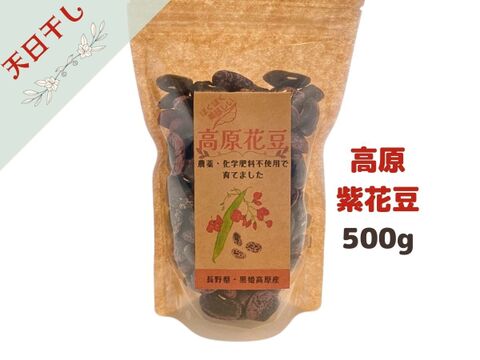 ほくほく美味しい！『高原紫花豆』農薬・化学肥料・除草剤不使用  500g