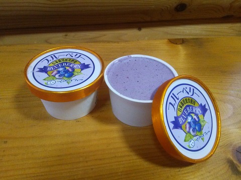 果汁たっぷりアイスクリーム10個セット〔ブルーベリー５個りんご５個入〕