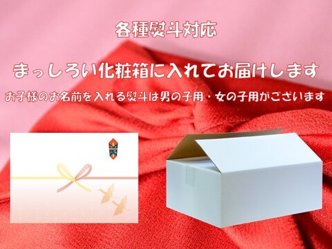 【父の日ギフト】６月１９日までの特別価格！お父さんに贈ろう！白米10㎏（梅）