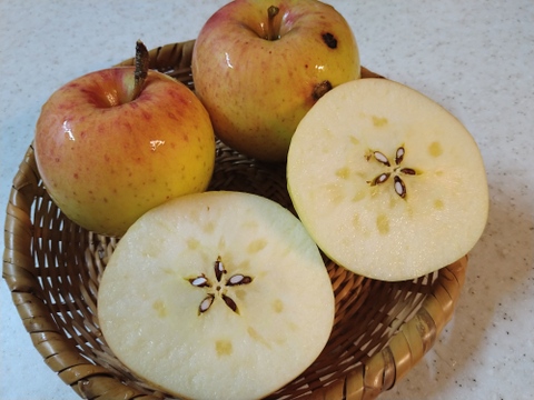 りんご　ぐんま名月　約６８％　農薬カット　18個くらい　大小様々　キズ等、黒点、虫食い混じりあり。