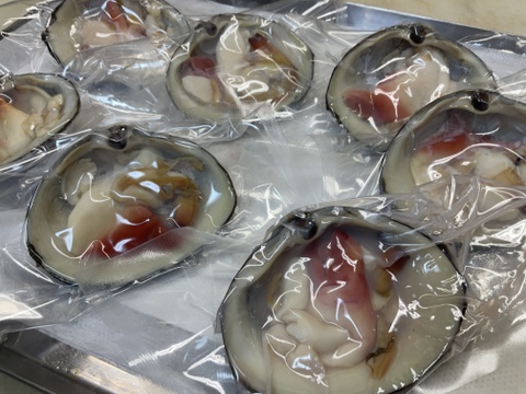 ホッキ貝/スチーム処理済/ハーフシェル/200～300ｇ/5個/そのまま焼きやBBQ可能【冷凍】