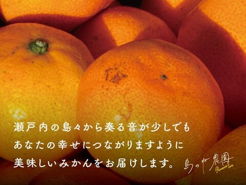 みかん 有機栽培 島のね農園【訳あり/愛媛みかん/栽培期間中農薬不使用/3kg】