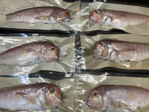 【謹製】ひと塩甘鯛/ぐじ/干物/中型/原体400～600g/半身分【冷凍】