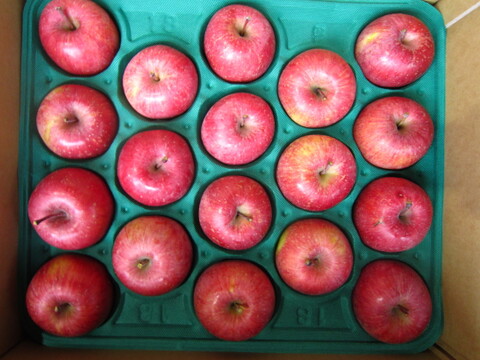 サンふじ(うまじろう)樹上完熟品 御贈答用5kg箱 小玉18玉入り 青森県 南部地方産 自家りんご農園生産直送品！