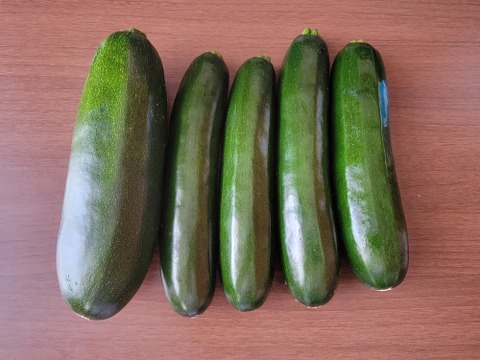 サラダでも食べられる大きなズッキーニ「緑」約2kg（5~6本）