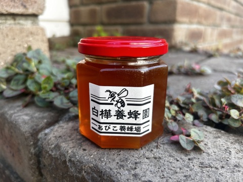 日本蜜蜂蜂蜜と西洋蜜蜂蜂蜜 日本と西洋ミツバチ違いとは？比較解説 字幕付き 日本蜜蜂【日本