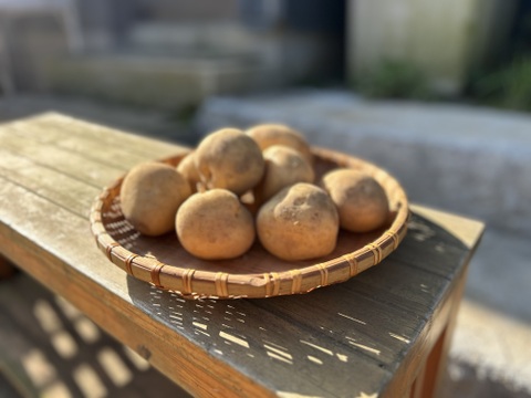 《北海道生まれ♩》きたかむいL.2Lサイズ5kg
