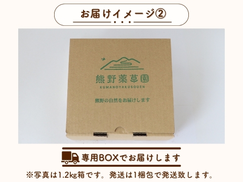 【販売スタート】酸味と甘みのバランスが抜群！！三重県産 真っ赤な完熟大玉トマト『富丸ムーチョ』(約2.4㎏)