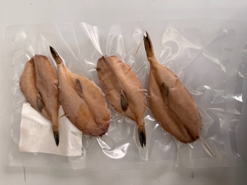 漁師が作る！旬の干物セット！