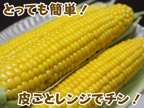 【2024夏】収穫開始⭐甘み弾ける❗3㎏ 朝穫れプレミアム味来 ～（スイートコーン）