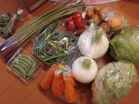 熊本県産‼︎旬の野菜セット