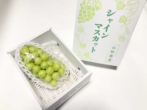 【ギフト】【御歳暮】【クリスマス】「シャインマスカット」　約800g  1房入り