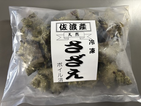 日本海の荒波で育った天然さざえをボイルして冷凍販売「佐渡産天然冷凍サザエ」（約12～18個入り）