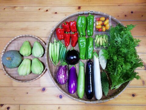 【農薬化学肥料不使用】ハヤトウリ入り野菜セット【８種類以上の野菜】【あわせ買い可】【熨斗(のし)対応可】（８０サイズ箱）