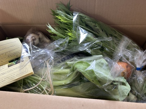 鳥取より！　自然栽培の野菜セット　Mセット