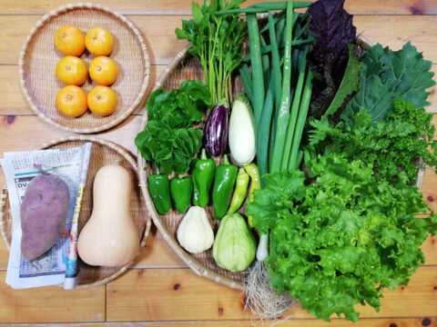 【農薬化学肥料不使用】ミカン入り野菜セット【８種類以上の野菜】【金曜日発送】【熨斗(のし)対応可】【８０サイズ箱】