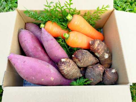 人参・里芋・さつまいもセット【農薬・化学肥料 不使用】おひとりさま向け