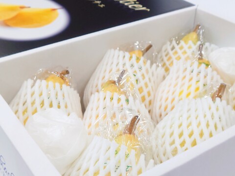 【冬ギフト】たかはし果樹園謹製 高級西洋梨「ル・レクチェ」厳選品 小玉 約2kg