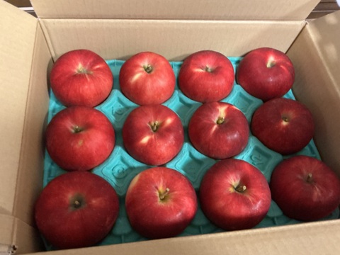 発送中終わります🍎🏃‍♀️【幻の小玉第1弾】シナノプッチ3キロ箱