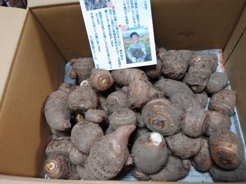 鳥取大山黒ボク土で育ったもっちり里芋3キロ