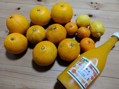 柑橘アソート（自然栽培）みかんジュース１本＆柑橘セット３kg（２種類以上）　【熨斗対応可】【柑橘食べ比べ】