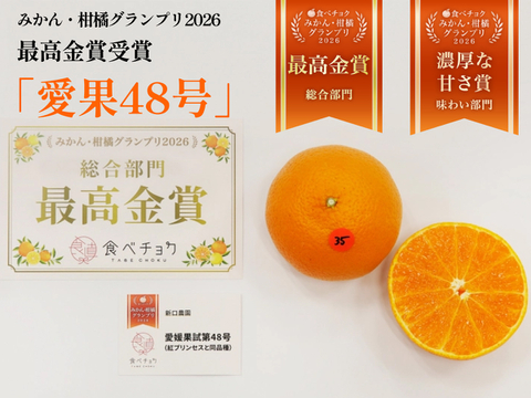 【みかんGP2026最高金賞】愛果48号【新品種】甘平×まどんな【紅プリンセスと同品種】家庭用 2kg