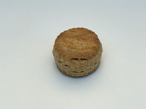 全部有機！パンセット⑯：麦の栽培から一貫生産　バターがおいしい！自然栽培有機小麦のみ使用した有機パンセット