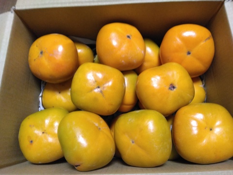 【送料500円引き】
🍁秋の恵み🍂《橋本ふるさと便》　
和歌山橋本の柿ご家庭用5キロ約20コ入り