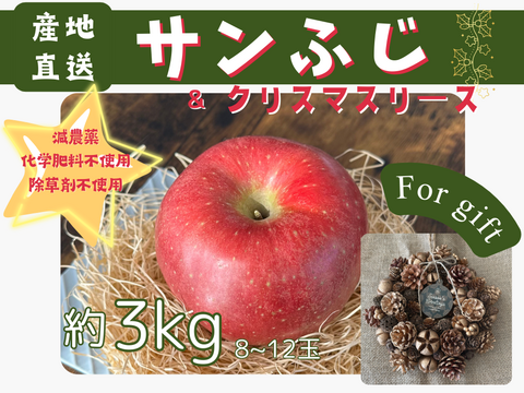 もぎたて りんご 特選 サンふじ 3kg クリスマスリース セット 長野県産 信州りんご発祥の地 産地直送 除草剤不使用 人にやさしく環境にもやさしい