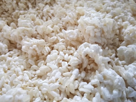 《国産・無添加・発酵調味料》にんにく塩糀（ピューレタイプ）〜ガツンとコクうま！