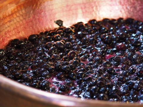 季節のジャム 2本セット（キウイ・ブルーベリー）【冬ギフト】