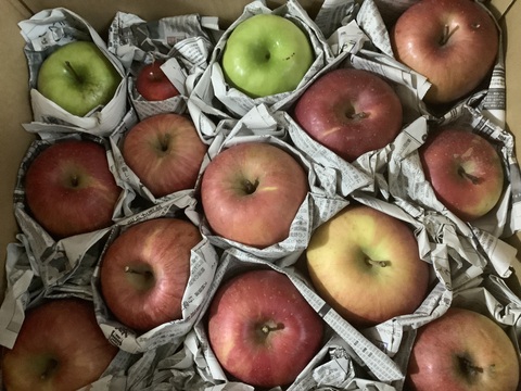 季節のリンゴ食べくらべ　訳あり家庭用（約9㎏）23～40玉
サンふじ、ゴールド、グラニーなど、2種類からお届け　
大きさ、形やキズなどで贈答用になれなかったりんごたちをバラ詰めで　信州長野県産