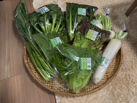 【カレンダー付】絶品！とくうま秋冬野菜５〜７品セット＜１２月発送分＞