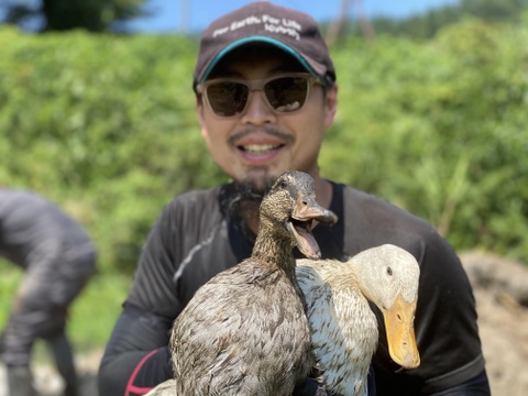 新鴨　鴨肉（あひる）1羽中抜き1900g台　田んぼで育った健康的な鴨