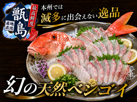【一般的な流通網には決して乗らない】離島の秘宝『幻の甑島天然ベンゴイ』業界初パウダースノー冷凍で最高鮮度でお届け🐟刺し盛りお試し約300g甑島ブランド【6月上中旬予約】