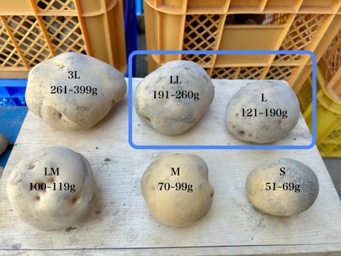 ホクホクきたあかり（L-LLサイズ）5kg ＊土付き・洗いの選択＊1KGずつの小分け梱包＊