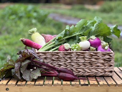 初めてのお客様限定！朝採れ自然栽培野菜とハーブのセット　５～７種類　約１～２kg