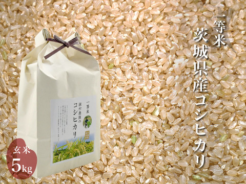 令和4年 噛めば噛むほど旨味がでてくる茨城県産コシヒカリ 玄米【一等米】【5kg】
