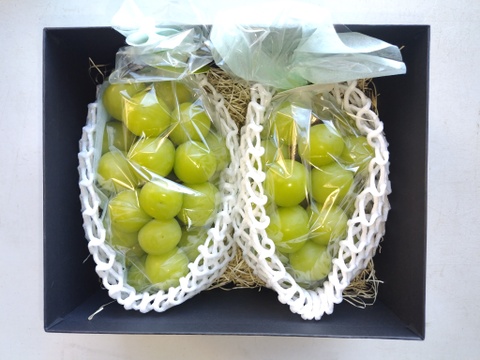 「牧丘天空の丘シャインマスカット」 約1kg(2～3房) 10月15日～発送