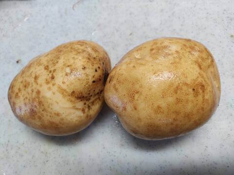 🥔採れたて新ジャガ✨農薬・化学肥料不使用「ニシユタカ」3kg　Mサイズ🥔