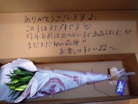 【母の日ギフト】■アイシャ3本束 ■白八重といったら不動の人気品種♥　数量限定で登場です！