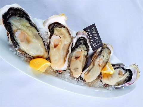濃厚 クリーミーな7月カキ 生食用 三陸宮城産 かき大将 mサイズ15個 女川ブランド殻付き牡蠣 2年もの 間もなく販売シーズン終了7 30まで 宮城県産 食べチョク 農家 漁師の産直ネット通販 旬の食材を生産者直送 濃厚 クリーミーな7月カキ 生食用 三陸宮城産 かき大将 mサイズ15個 女川ブランド殻付き牡蠣 2年もの 間もなく販売シーズン終了7 30まで 宮城県産 食べチョク 農家 漁師の産直ネット通販 旬の食材を生産者直送
