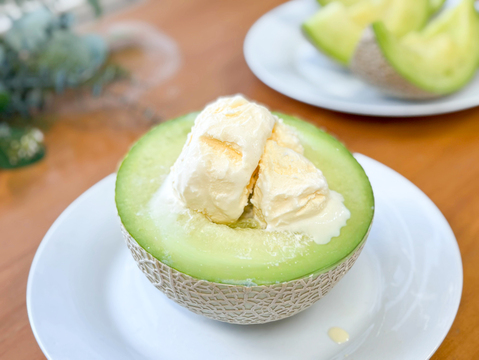 【1玉】大きくてジューシーな甘さ！岡山県産マスクメロン（訳あり品/1.6kg以上)