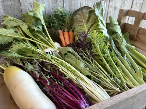 【栽培期間農薬不使用】六月農園　宮殿の厨房野菜お試しSセット【4-5品目】