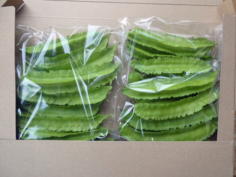 シャキシャキ食感『シカクマメ（四角豆）』（岩手県産）200g