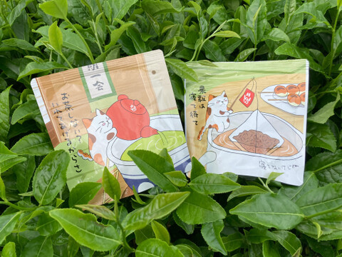 2021新茶【まとめ買い対応】高級煎茶ティーバッグ&和紅茶ティーバッグのセット(ホワイトデー・プチギフトなどに) / 狭山茶