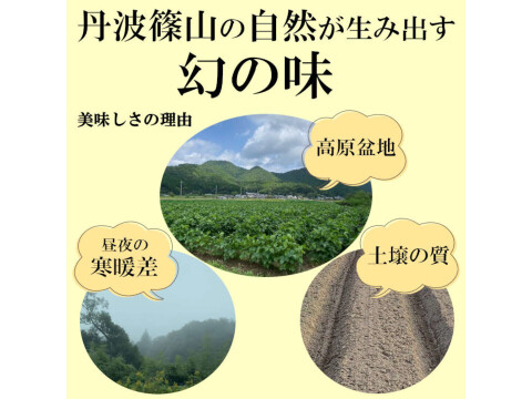 丹波篠山 黒枝豆 1.8kg( 600g × 3袋 ) 【令和7年新豆・予約販売】 産地直送 期間限定 贈答用にも最適 大粒 最高級 さや 枝豆
毎年完売 今しか味わえない 丹波篠山の黒枝豆 数量限定