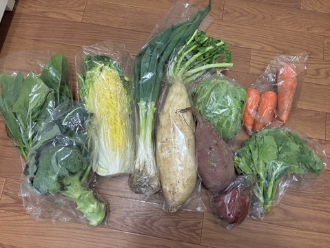 旬の露地野菜セット(9～10品)